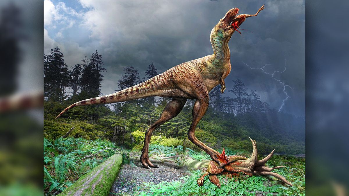 Poslední večeře příbuzného T. rexe: Gorgosaurus pozřel dinosauří mláďata